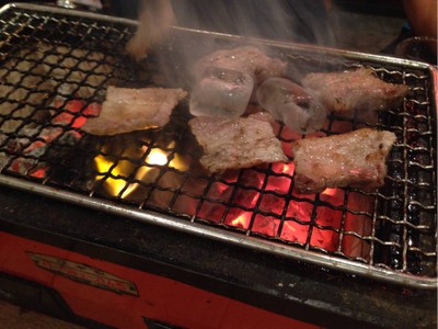 ลำใส้ใหญ่ย่าง