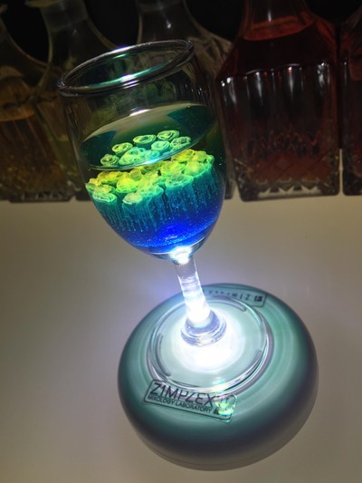 เราจำชื่อไม่ได้จริงๆ