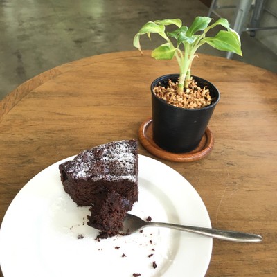 chocolate flourless cake