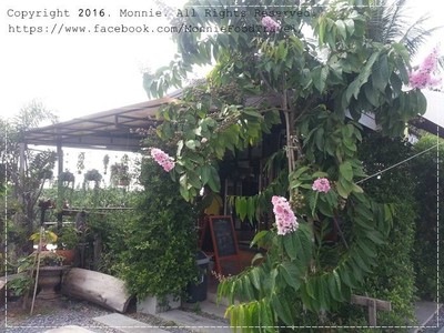 หน้าร้าน