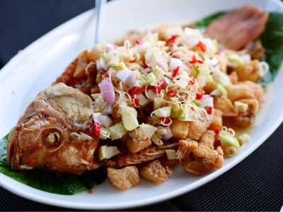 ปลาทับทิมล้านนา