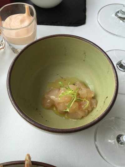 Ceviche of Alaskan scallop