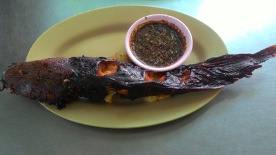 ปลาดุกย่าง