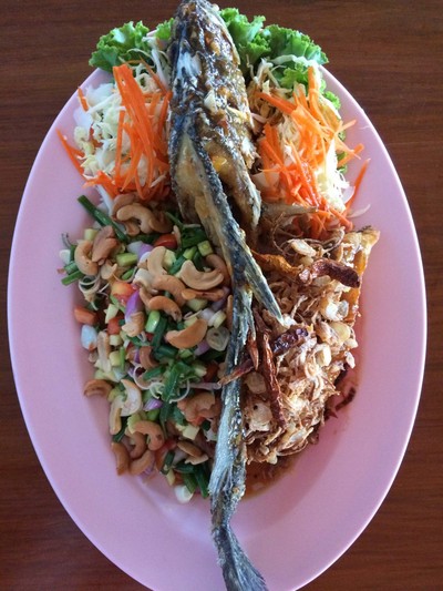 ปลากระพงสองใจ