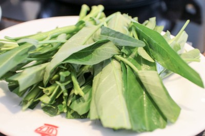 ผักบุ้ง