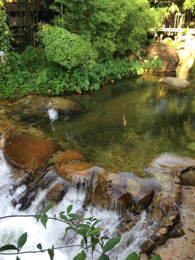 ธารน้ำใสมาก มีปลาด้วย