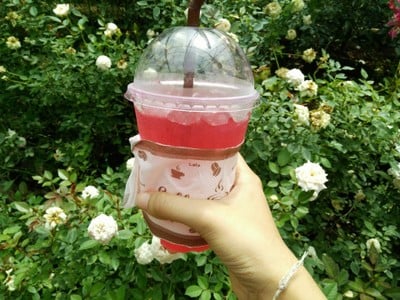 เมนูของร้าน สวนกุหลาบห้วยผักไผ่ ศูนย์พัฒนาโครงการหลวงทุ่งเริง