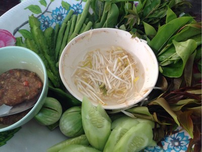 ผักข้างเคียง