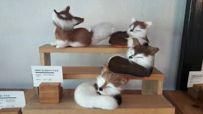 Morning Glory Cafe