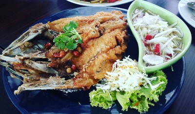 ปลากระพงทอดน้ำปลา ยำมะม่วง