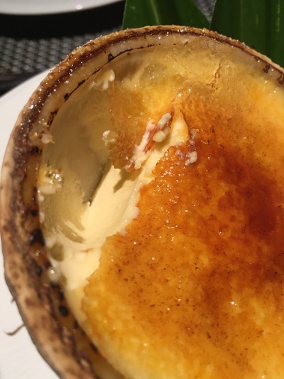 Coconut Creme Brulee