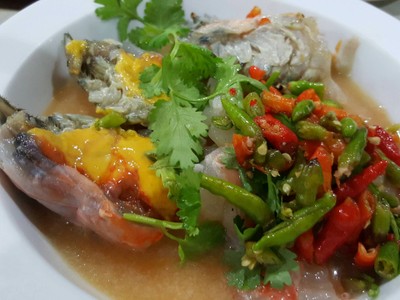 กุ้งเต้น