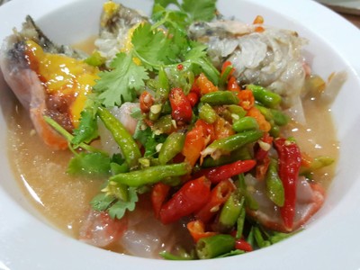 กุ้งเต้น