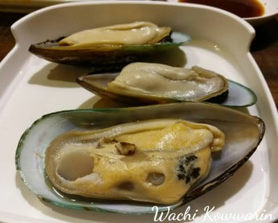 หอยแมลงภู่