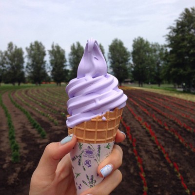 Lavender Softcream