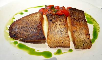 Pan Seared Barramundi