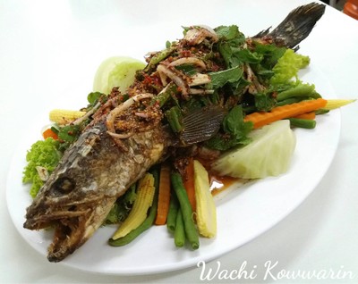ปลาช่อนน้ำตก