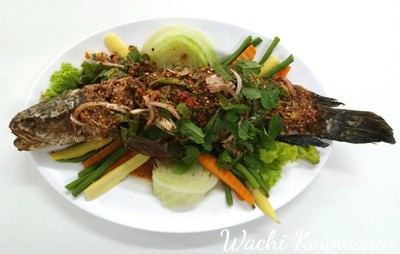 ปลาช่อนน้ำตก
