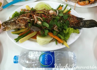ปลาช่อนน้ำตก