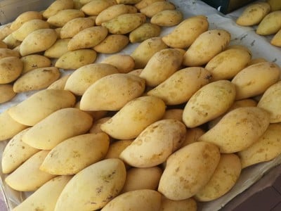 ข้าวเหนียวมะม่วงเเม่เก่ง โชคชัย4เเยก54