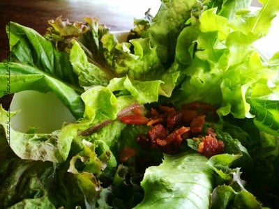 Hydroponic Salad