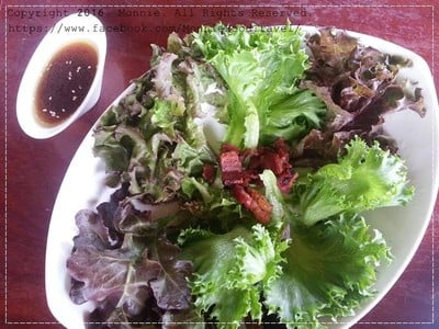hydroponic Salad2