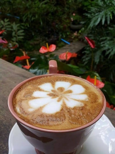 ลุงปุ๊ด&ป้าเป็ง Coffee ลุงปุ๊ด&ป้าเป็ง Coffee