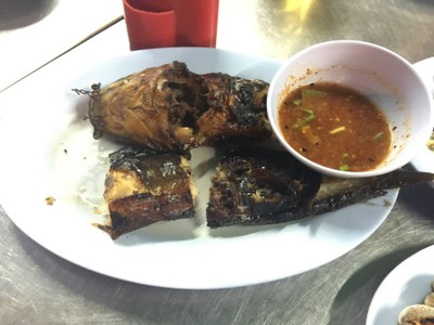 ปลาดุกย่าง