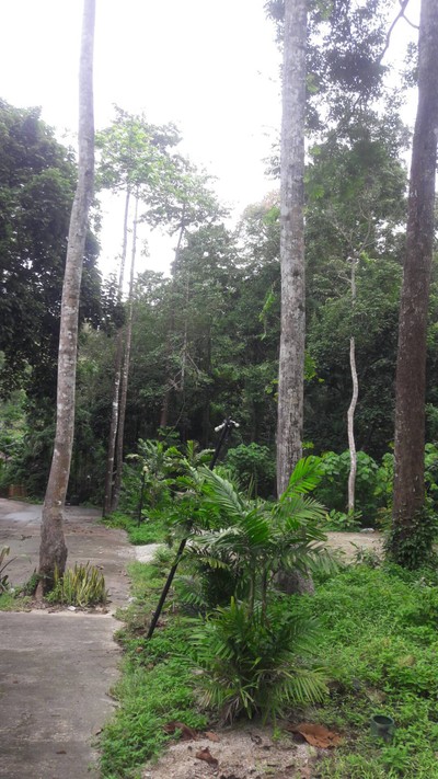 บรรยากาศ