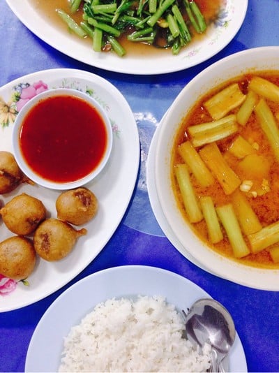 กวางโภชนา