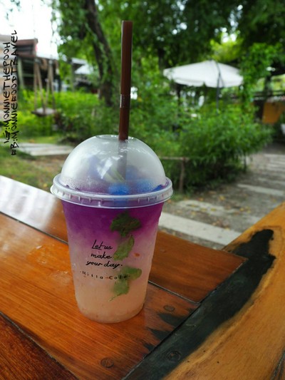 ลิ้นจี่อัญชันโซดา