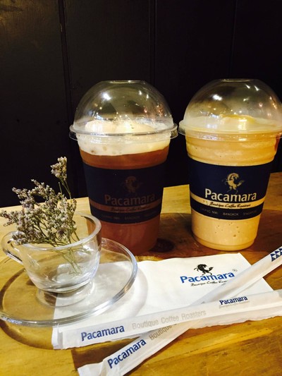 PACAMARA COFFEE Star Avenue 2 เชียงใหม่ PACAMARA COFFEE Star Avenue 2 เชียงใหม่