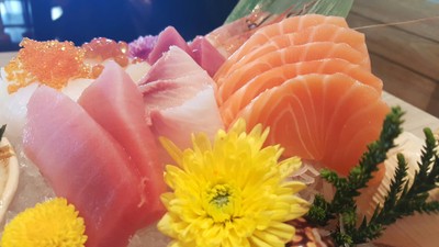 Poseidon Set : สำรวจกันก่อน บรรดาปลาทั้งหลาย Chuyoro Kampachi Salmon จ๊ะ