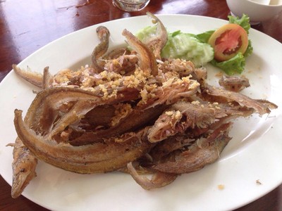 ปลาเนื้ออ่อนทอดกระเทียม