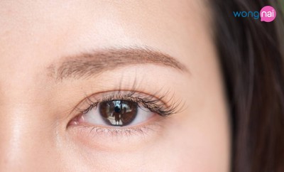 Hanol Eyelash ทองหล่อ