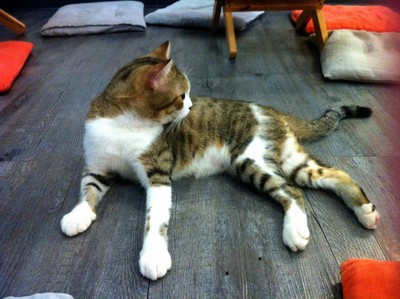 บรรยากาศ