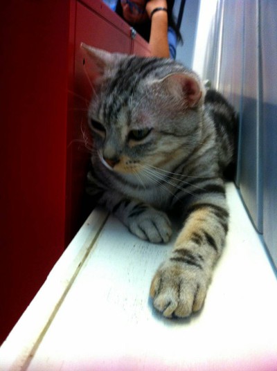 บรรยากาศ