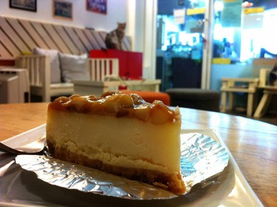 แมคคาเดเมียชีสเค้ก