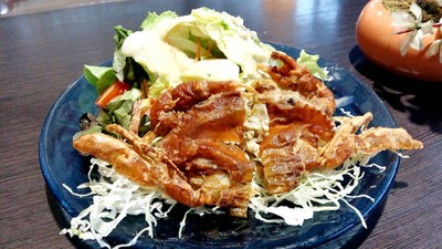 สลัดปูนิ่ม