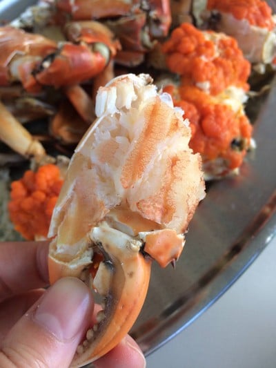 เรือนวารี(แม่กลอง)