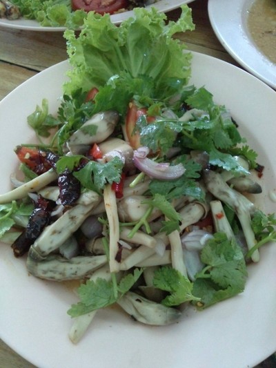 อื่นๆ