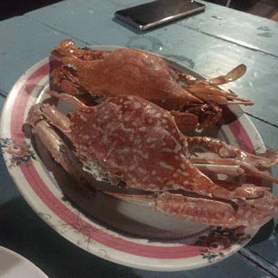 ปูม้านึ่ง