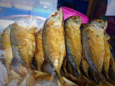 ปลาทู