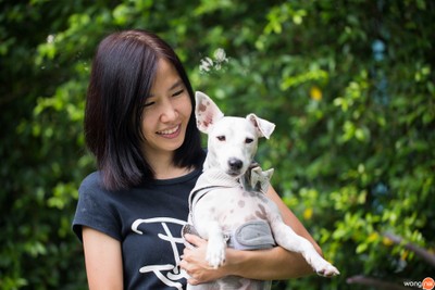 คุณ จารุวัจน์ เล็กดำรงศักดิ์