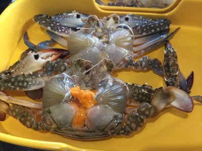 ฟินชาบู สาขา 1 นาเกลือ