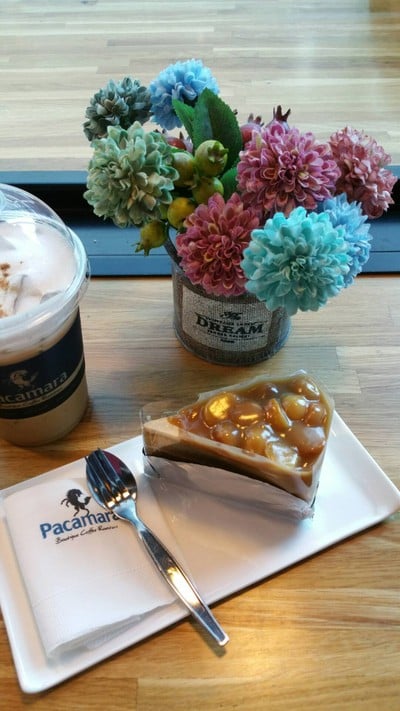 PACAMARA โรงพยาบาลจุฬาฯ สภากาชาดไทย (KCMH)