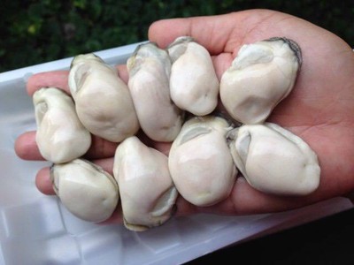 ภูเก็ตซีฟู้ด เชียงใหม่