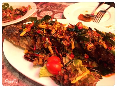 ปลาช่อนลุยสวน