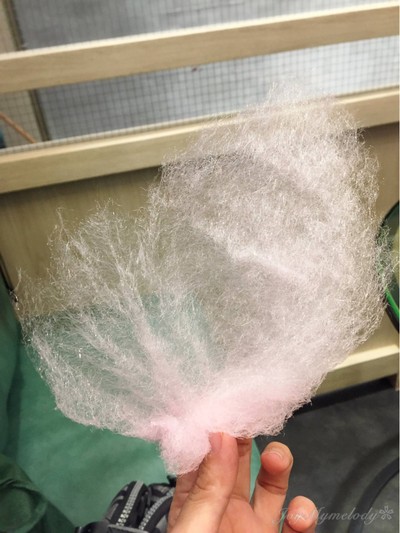 Strawberry Cheesecake Cotton Candy Tree