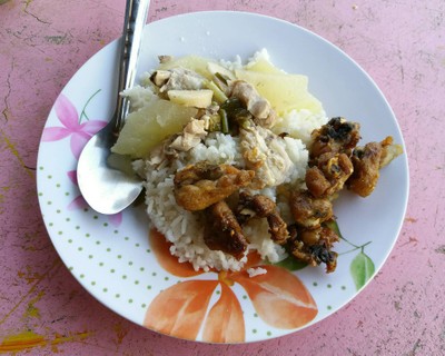 ข้าวราดแกง